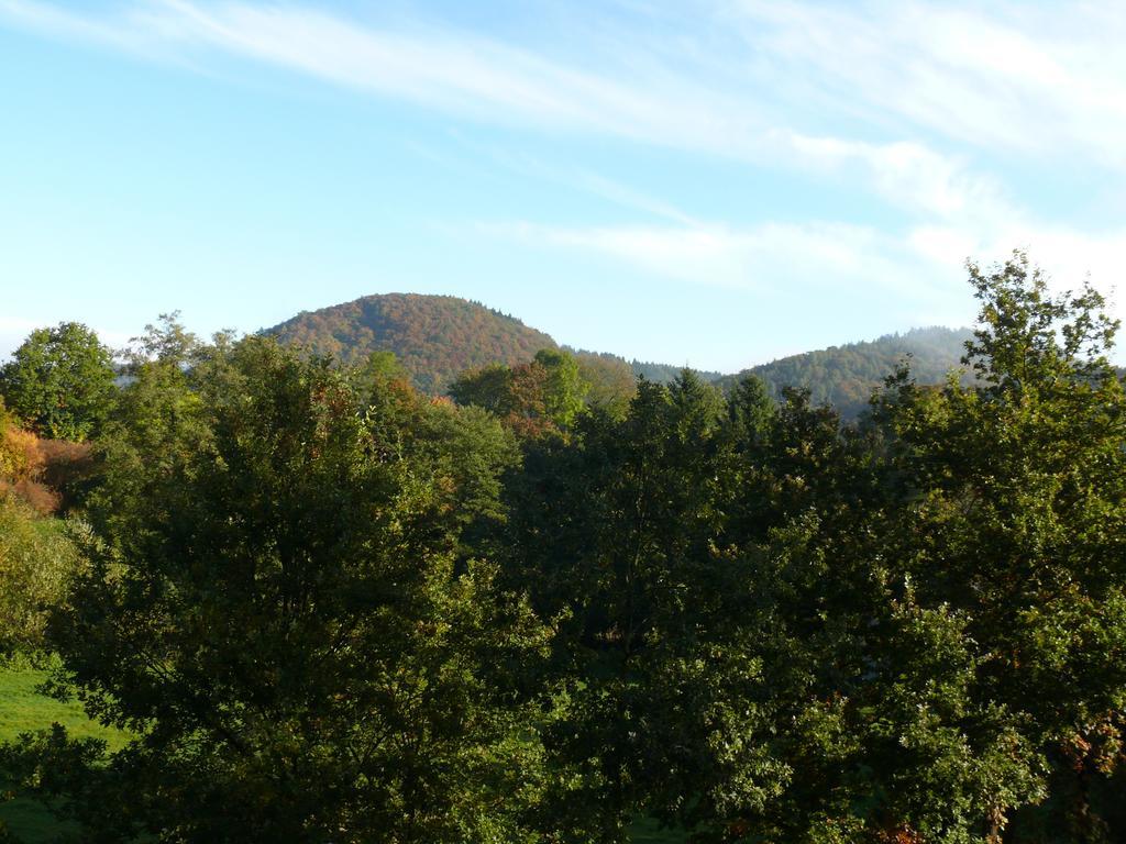 Fewo Bemmann Deisfeld Cameră foto